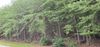 1765 Sawnee Oaks Ln photo